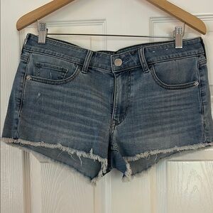 Express Blue Jean Shorts Distressed Mid-Thigh